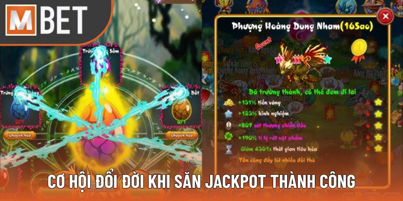 Cơ hội đổi đời khi săn jackpot thành công