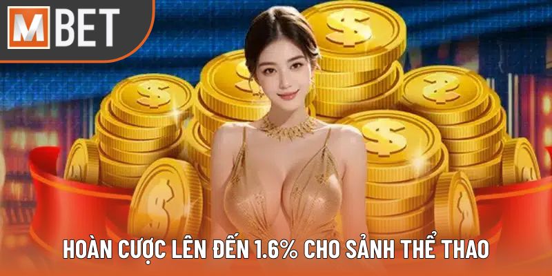 Hoàn cược lên đến 1.6% cho sảnh thể thao