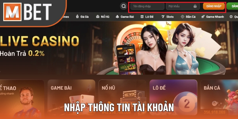 Nhập thông tin tài khoản