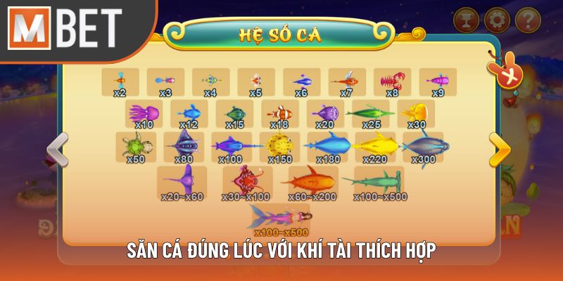 Săn cá đúng lúc với khí tài thích hợp